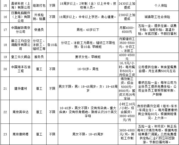 丹凤县人力资源和社会保障局最新项目研究概览