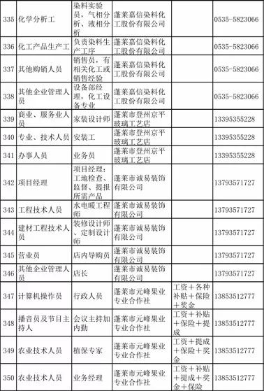 蓬莱招聘网最新招聘动态深度解读与解析