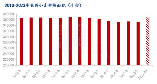 山东今日小麦最新价格动态解析