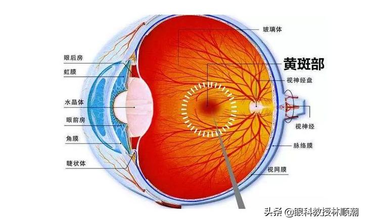 镜湖月 第2页