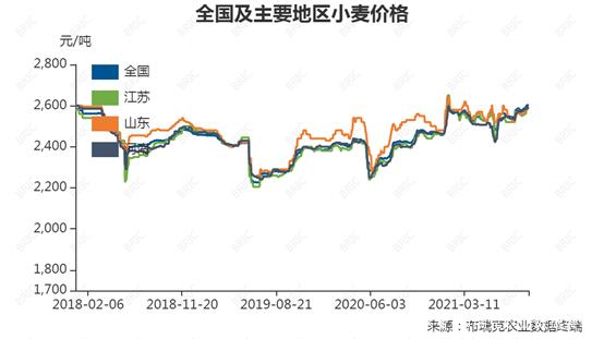 小麦最新行情价格解析