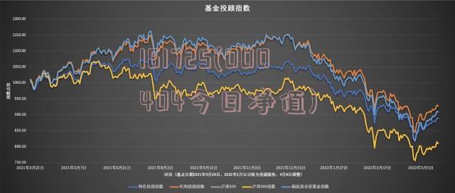 全面解析，今日最新净值及关于161725基金净值查询报告