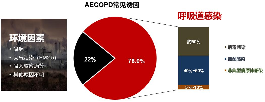 肺炎研究获新突破，最新进展与未来治疗展望