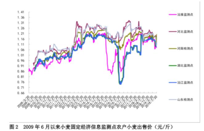 河北小麦最新价格动态解析