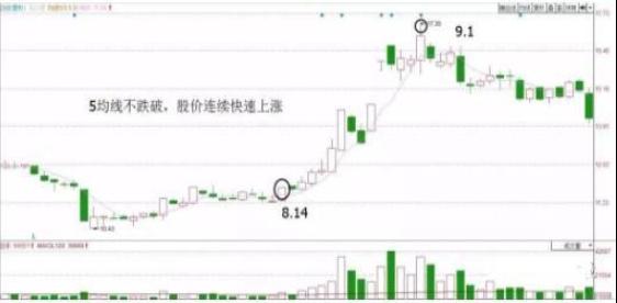 揭秘新时代财富增长策略，99财富最新动态探索报告