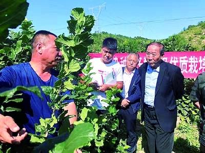 隆化县住房和城乡建设局项目最新进展报告摘要