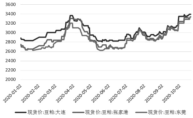 今日豆粕最新价格行情解析