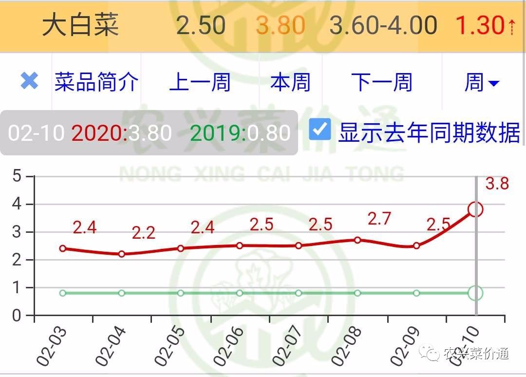 白菜价格最新行情分析与走势预测