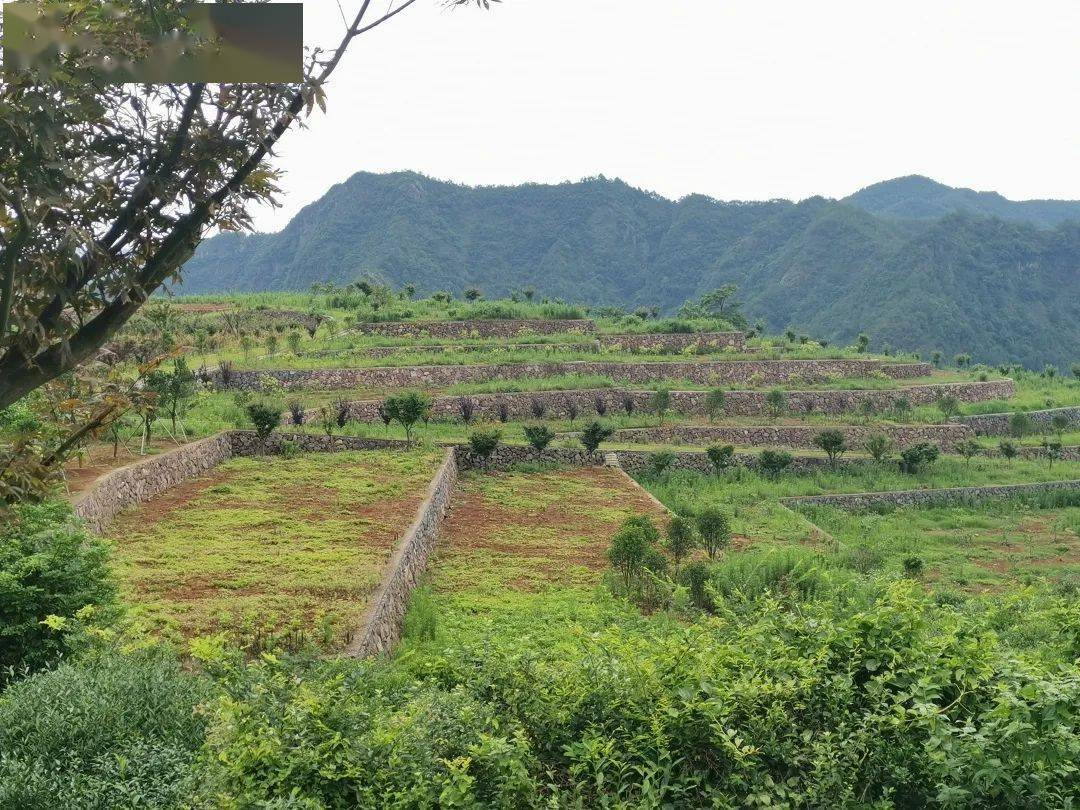 回山镇引领地方发展的璀璨明珠，最新项目启动