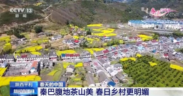 拉隆达村开启现代化交通新篇章的最新交通新闻报道